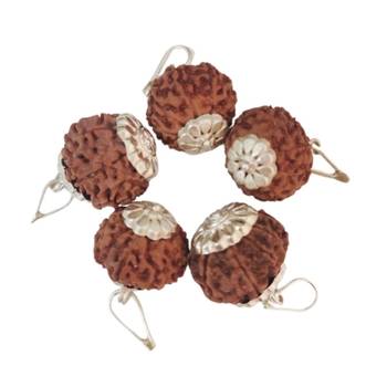 Original 9 Mukhi Indonesia Rudraksha Silver Plated Pendant at Wholesale Rate Chakra Healing Nine Faced Beads 1 Pcs 2