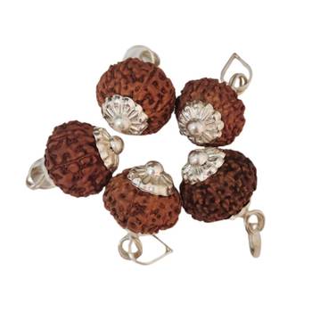 Original 10 Mukhi Indonesia Rudraksha Silver Plated Pendant at Wholesale Rate Chakra Healing Ten Faced Beads 1 Pcs 2
