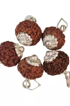 Original 10 Mukhi Indonesia Rudraksha Silver Plated Pendant at Wholesale Rate Chakra Healing Ten Faced Beads 1 Pcs