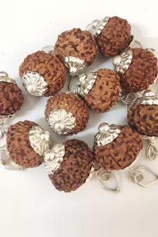 Original 10 Mukhi Indonesia Rudraksha Silver Plated Pendant at Wholesale Rate Chakra Healing Ten Faced Beads 1 Pcs