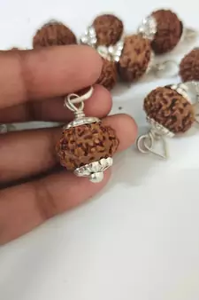 Original 10 Mukhi Indonesia Rudraksha Silver Plated Pendant at Wholesale Rate Chakra Healing Ten Faced Beads 1 Pcs
