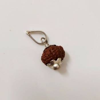 Original 11 Mukhi Indonesia Rudraksha Silver Plated Pendant at Wholesale Rate Chakra Healing Eleven Faced Beads 1 Pcs 1