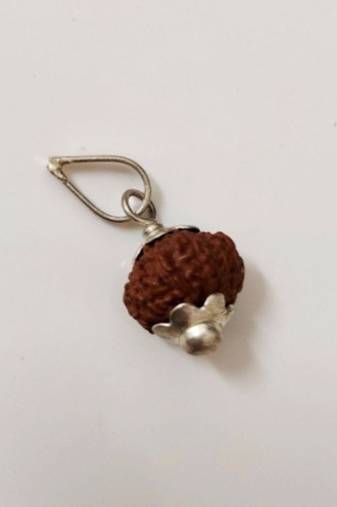 Original 11 Mukhi Indonesia Rudraksha Silver Plated Pendant at Wholesale Rate Chakra Healing Eleven Faced Beads 1 Pcs