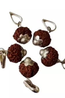 Original 11 Mukhi Indonesia Rudraksha Silver Plated Pendant at Wholesale Rate Chakra Healing Eleven Faced Beads 1 Pcs