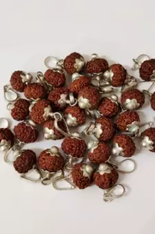 Original 11 Mukhi Indonesia Rudraksha Silver Plated Pendant at Wholesale Rate Chakra Healing Eleven Faced Beads 1 Pcs
