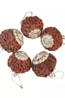 Original 9 Mukhi Nepali Rudraksha Silver Plated Pendant at Wholesale Rate Chakra Healing Nine Faced Beads 1 Pcs