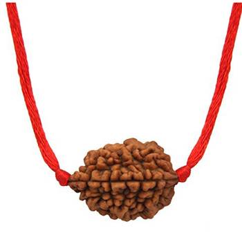 Original 2 Mukhi Nepali Rudraksha Pendant With Red Thread at Wholesale Rate Chakra Healing Two Faced Beads 1 Pcs 1