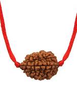 Original 2 Mukhi Nepali Rudraksha Pendant With Red Thread at Wholesale Rate Chakra Healing Two Faced Beads 1 Pcs