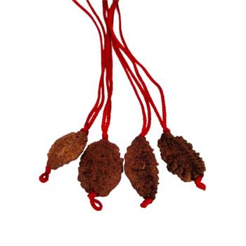 Original 2 Mukhi Nepali Rudraksha Pendant With Red Thread at Wholesale Rate Chakra Healing Two Faced Beads 1 Pcs 2
