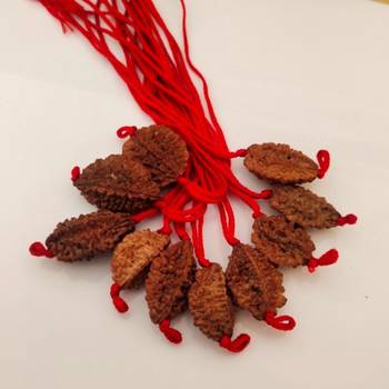 Original 2 Mukhi Nepali Rudraksha Pendant With Red Thread at Wholesale Rate Chakra Healing Two Faced Beads 1 Pcs 3