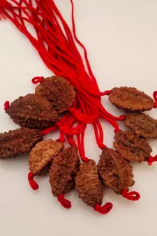 Original 2 Mukhi Nepali Rudraksha Pendant With Red Thread at Wholesale Rate Chakra Healing Two Faced Beads 1 Pcs