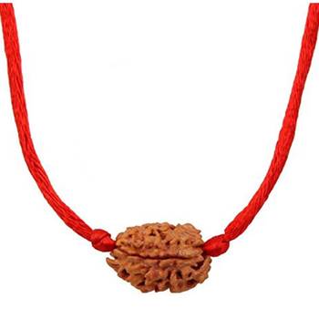 Original 3 Mukhi Rishikesh Rudraksha Pendant With Red Thread at Wholesale Rate Chakra Healing Three Faced Beads 1 Pcs 1