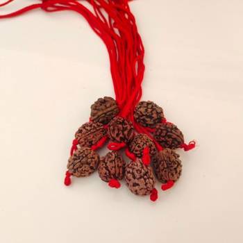 Original 3 Mukhi Rishikesh Rudraksha Pendant With Red Thread at Wholesale Rate Chakra Healing Three Faced Beads 1 Pcs 3