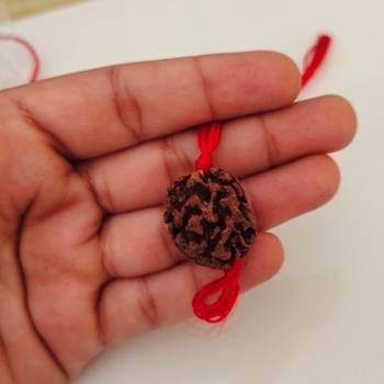 Original 3 Mukhi Rishikesh Rudraksha Pendant With Red Thread at Wholesale Rate Chakra Healing Three Faced Beads 1 Pcs 4