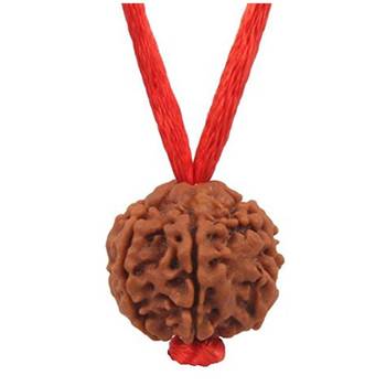 Original 4 Mukhi Nepali Rudraksha Pendant With Red Thread at Wholesale Rate Chakra Healing Four Faced Beads 1 Pcs 1