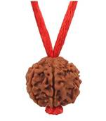 Original 4 Mukhi Nepali Rudraksha Pendant With Red Thread at Wholesale Rate Chakra Healing Four Faced Beads 1 Pcs