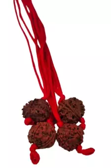 Original 4 Mukhi Nepali Rudraksha Pendant With Red Thread at Wholesale Rate Chakra Healing Four Faced Beads 1 Pcs