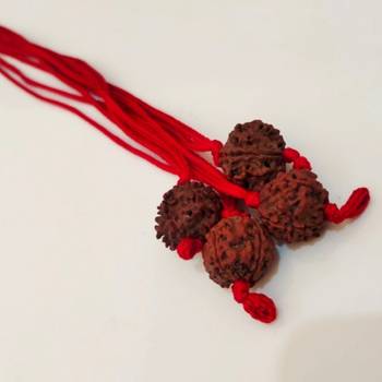 Original 4 Mukhi Nepali Rudraksha Pendant With Red Thread at Wholesale Rate Chakra Healing Four Faced Beads 1 Pcs 3
