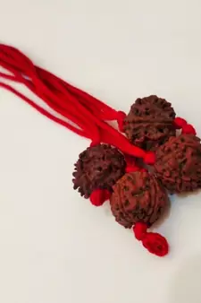 Original 4 Mukhi Nepali Rudraksha Pendant With Red Thread at Wholesale Rate Chakra Healing Four Faced Beads 1 Pcs