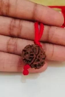 Original 4 Mukhi Nepali Rudraksha Pendant With Red Thread at Wholesale Rate Chakra Healing Four Faced Beads 1 Pcs