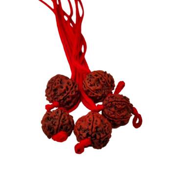 Original 5 Mukhi Nepali Rudraksha Pendant With Red Thread at Wholesale Rate Chakra Healing Five Faced Beads 1 Pcs 2