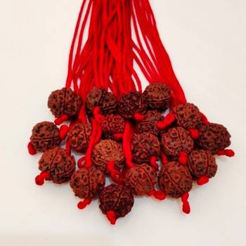 Original 5 Mukhi Nepali Rudraksha Pendant With Red Thread at Wholesale Rate Chakra Healing Five Faced Beads 1 Pcs 3