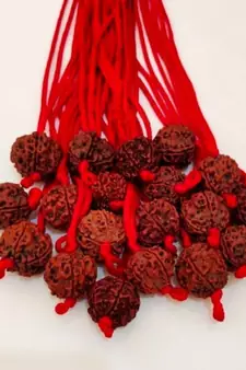 Original 5 Mukhi Nepali Rudraksha Pendant With Red Thread at Wholesale Rate Chakra Healing Five Faced Beads 1 Pcs