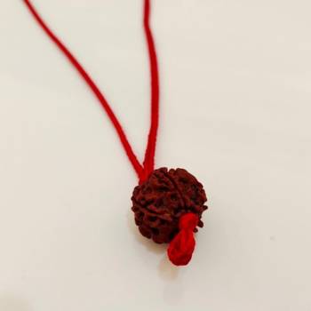 Original 5 Mukhi Nepali Rudraksha Pendant With Red Thread at Wholesale Rate Chakra Healing Five Faced Beads 1 Pcs 4