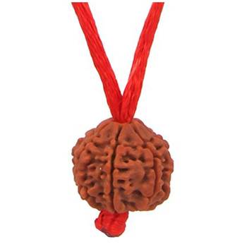 Original 6 Mukhi Nepali Rudraksha Pendant With Red Thread at Wholesale Rate Chakra Healing Six Faced Beads 1 Pcs 1