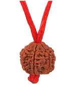 Original 6 Mukhi Nepali Rudraksha Pendant With Red Thread at Wholesale Rate Chakra Healing Six Faced Beads 1 Pcs