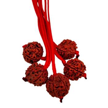 Original 6 Mukhi Nepali Rudraksha Pendant With Red Thread at Wholesale Rate Chakra Healing Six Faced Beads 1 Pcs 2