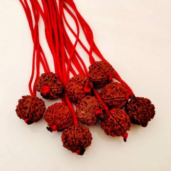 Original 6 Mukhi Nepali Rudraksha Pendant With Red Thread at Wholesale Rate Chakra Healing Six Faced Beads 1 Pcs 3