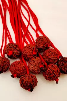 Original 6 Mukhi Nepali Rudraksha Pendant With Red Thread at Wholesale Rate Chakra Healing Six Faced Beads 1 Pcs
