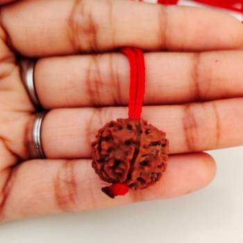 Original 6 Mukhi Nepali Rudraksha Pendant With Red Thread at Wholesale Rate Chakra Healing Six Faced Beads 1 Pcs 4