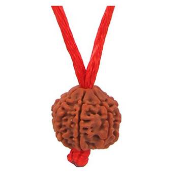 Original 7 Mukhi Nepali Rudraksha Pendant With Red Thread at Wholesale Rate Chakra Healing Seven Faced Beads 1 Pcs 2