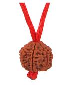 Original 9 Mukhi Nepali Rudraksha Pendant With Red Thread at Wholesale Rate Chakra Healing Nine Faced Beads 1 Pcs