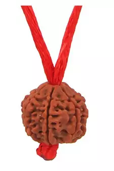 Original 9 Mukhi Nepali Rudraksha Pendant With Red Thread at Wholesale Rate Chakra Healing Nine Faced Beads 1 Pcs