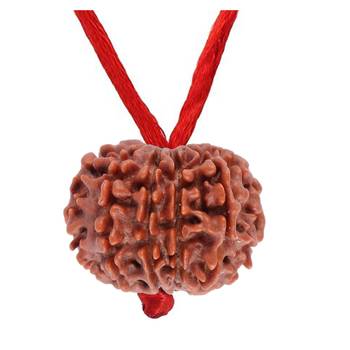 Original 11 Mukhi Nepali Rudraksha Pendant With Red Thread at Wholesale Rate Chakra Healing Eleven Faced Beads 1 Pcs 2