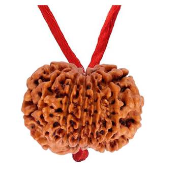 Original 12 Mukhi Nepali Rudraksha Pendant With Red Thread at Wholesale Rate Chakra Healing Twelve Faced Beads 1 Pcs 2