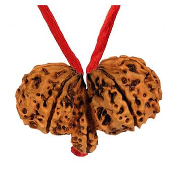 Original Shri Gauri Shankar Nepali Rudraksha Pendant With Red Thread at Wholesale Rate Chakra Healing Beads 1 Pcs 2