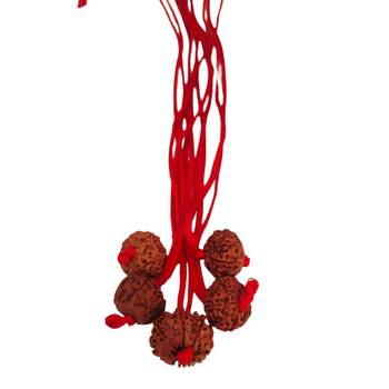 Original 9 Mukhi Indonesia Rudraksha Pendant With Red Thread at Wholesale Rate Chakra Healing Nine Faced Beads 1 Pcs 2