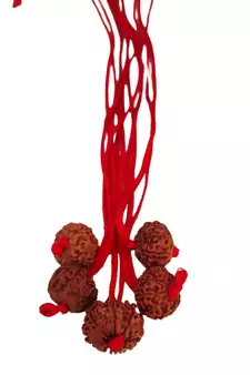 Original 9 Mukhi Indonesia Rudraksha Pendant With Red Thread at Wholesale Rate Chakra Healing Nine Faced Beads 1 Pcs