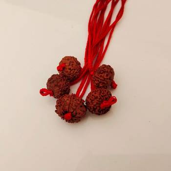 Original 9 Mukhi Indonesia Rudraksha Pendant With Red Thread at Wholesale Rate Chakra Healing Nine Faced Beads 1 Pcs 3