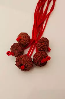 Original 9 Mukhi Indonesia Rudraksha Pendant With Red Thread at Wholesale Rate Chakra Healing Nine Faced Beads 1 Pcs
