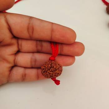 Original 9 Mukhi Indonesia Rudraksha Pendant With Red Thread at Wholesale Rate Chakra Healing Nine Faced Beads 1 Pcs 4
