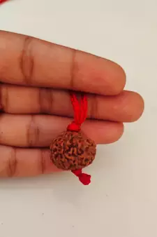 Original 9 Mukhi Indonesia Rudraksha Pendant With Red Thread at Wholesale Rate Chakra Healing Nine Faced Beads 1 Pcs