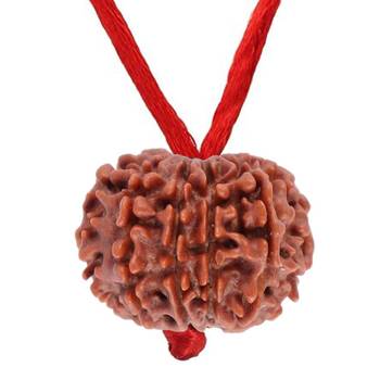 Original 10 Mukhi Indonesia Rudraksha Pendant With Red Thread at Wholesale Rate Chakra Healing Ten Faced Beads 1 Pcs 1