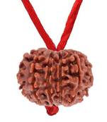 Original 10 Mukhi Indonesia Rudraksha Pendant With Red Thread at Wholesale Rate Chakra Healing Ten Faced Beads 1 Pcs