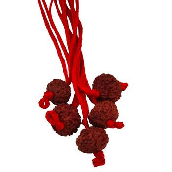 Original 10 Mukhi Indonesia Rudraksha Pendant With Red Thread at Wholesale Rate Chakra Healing Ten Faced Beads 1 Pcs 2