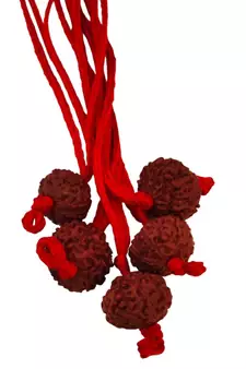 Original 10 Mukhi Indonesia Rudraksha Pendant With Red Thread at Wholesale Rate Chakra Healing Ten Faced Beads 1 Pcs